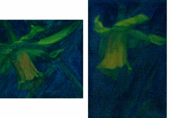 Daffodil_SetHorizontal